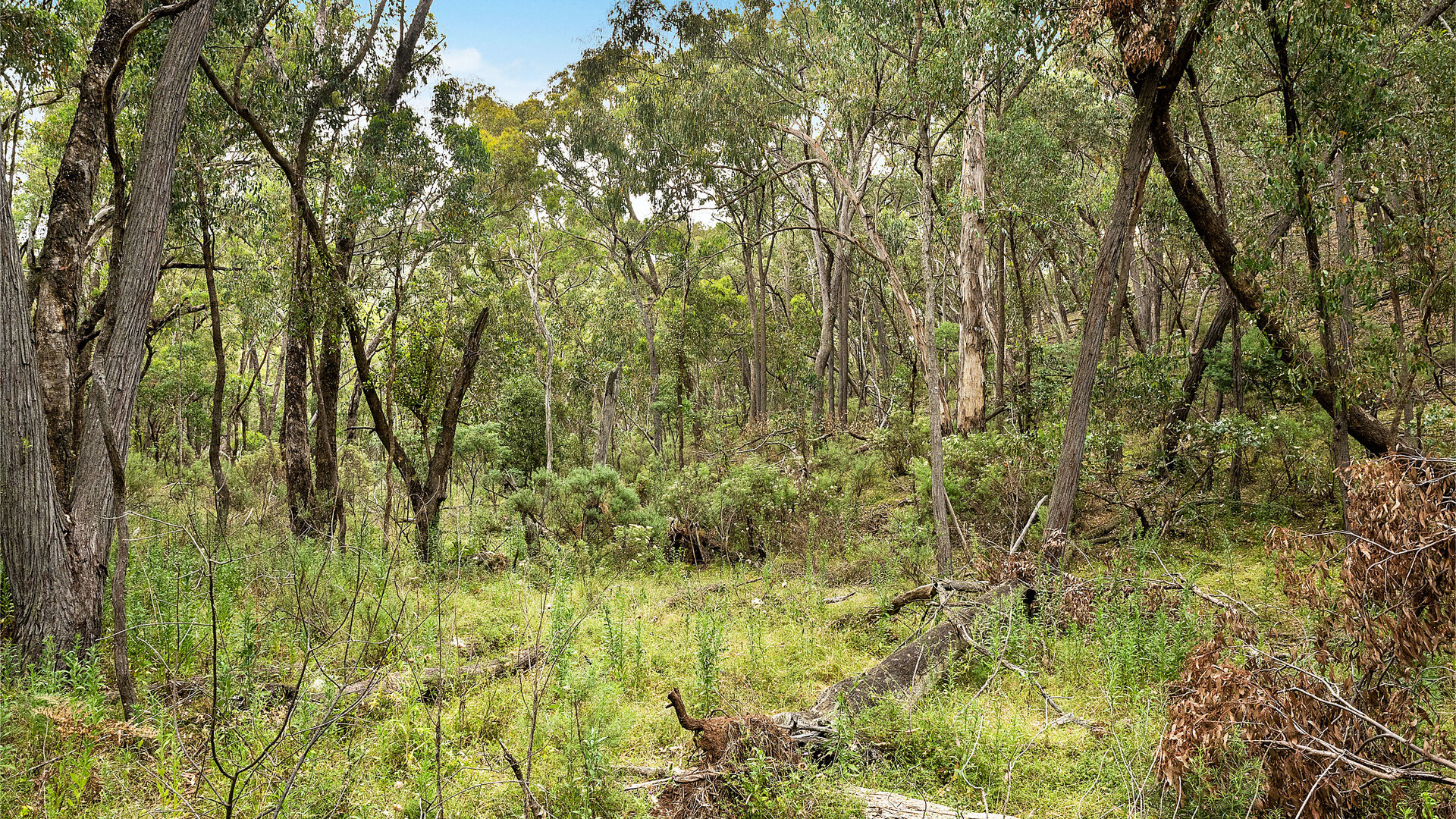 2683 Cargo Road, Cargo NSW 2800 - photo 6