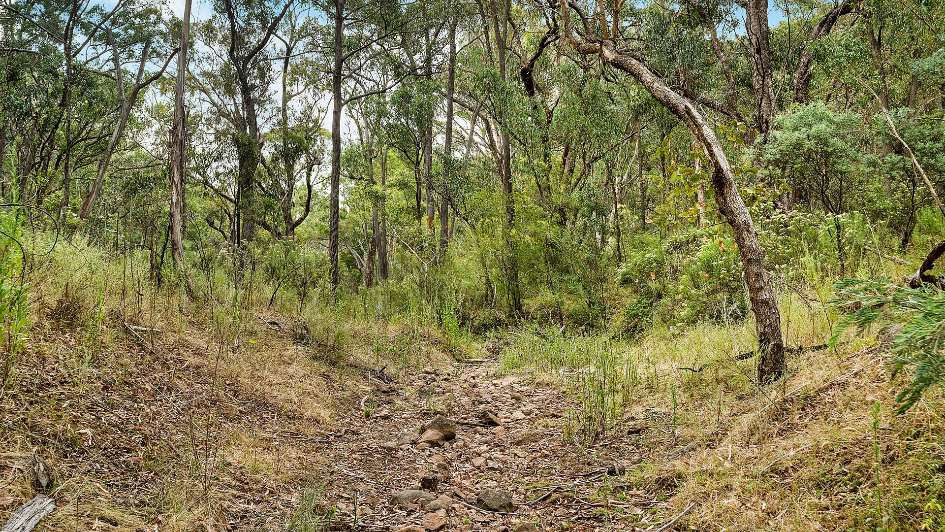2683 Cargo Road, Cargo NSW 2800 - photo 7
