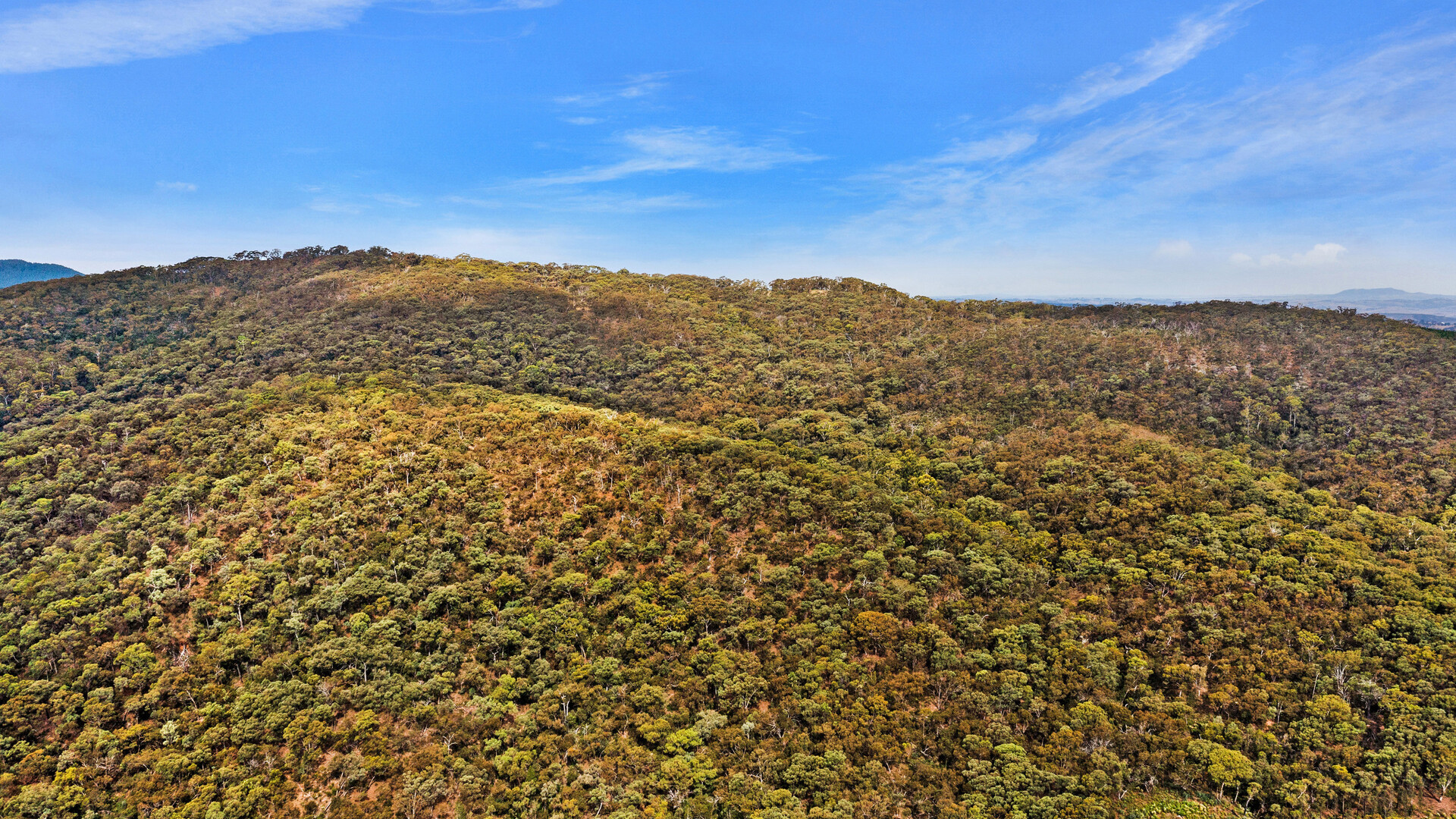 2683 Cargo Road, Cargo NSW 2800 - photo 8