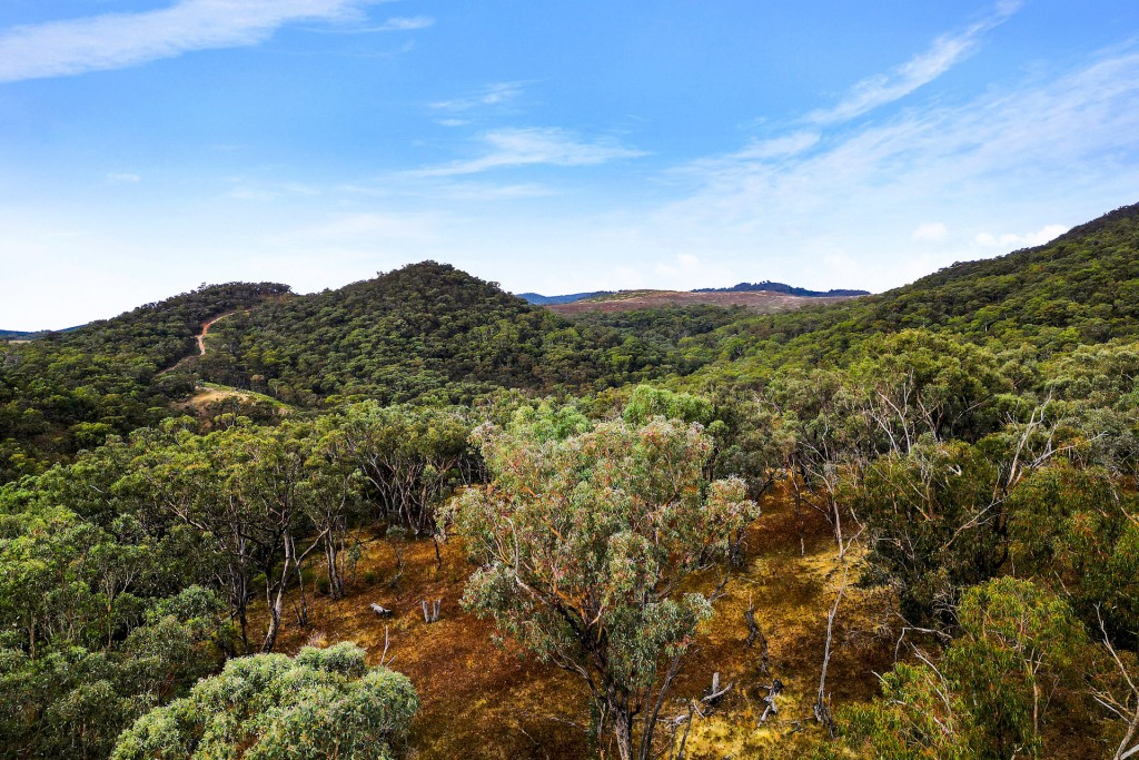 2683 Cargo Road, Cargo NSW 2800 - photo 9