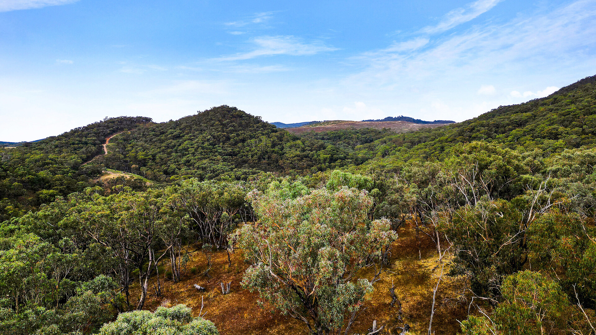 2683 Cargo Road, Cargo NSW 2800 - photo 9