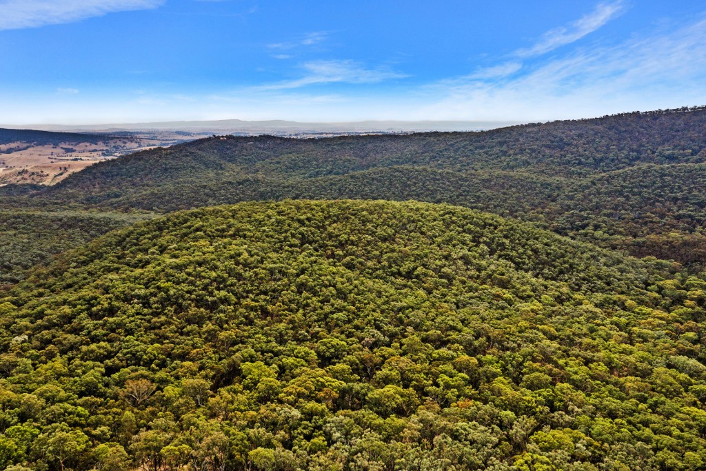 2683 Cargo Road, Cargo NSW 2800 - photo 10