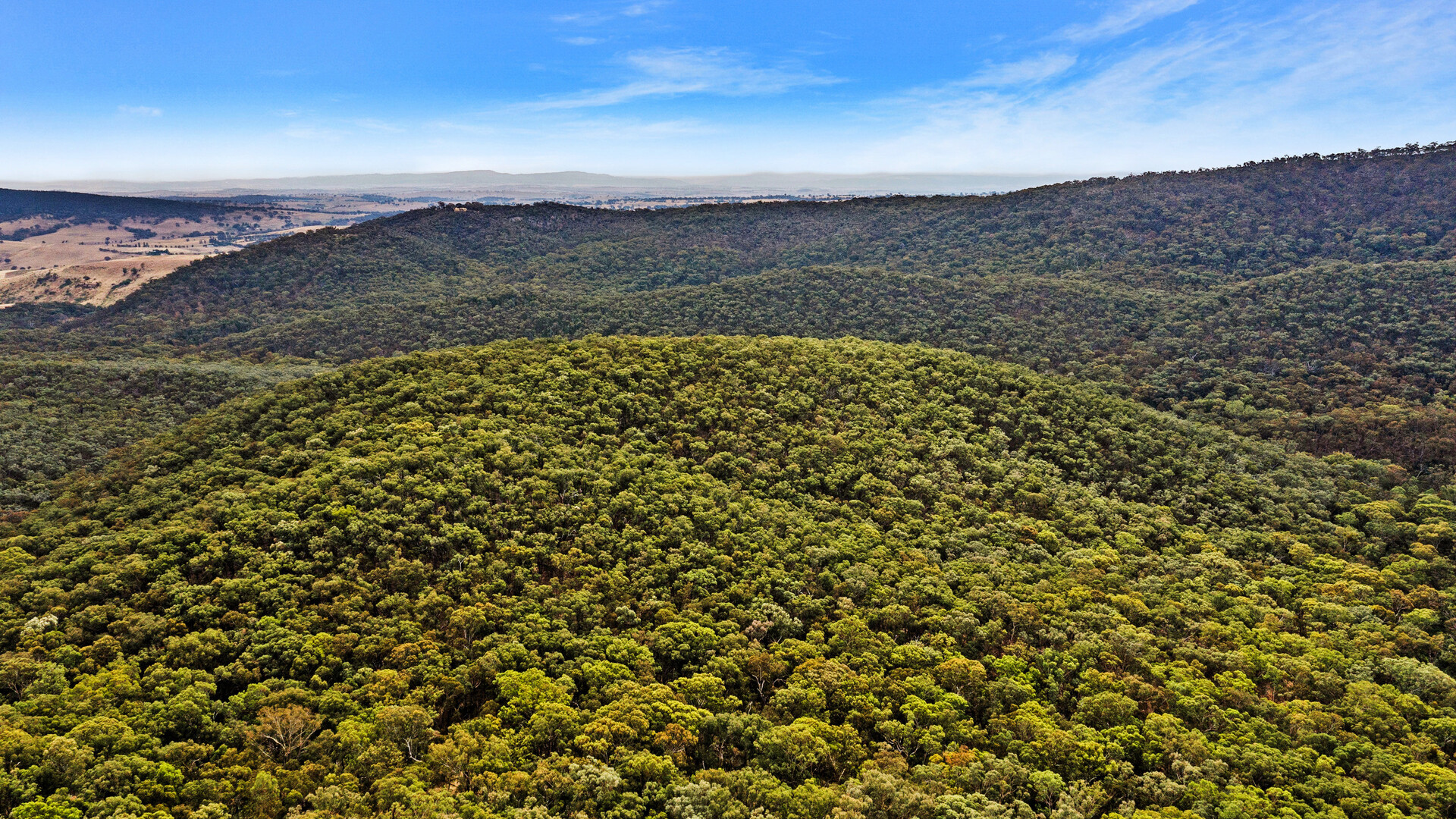 2683 Cargo Road, Cargo NSW 2800 - photo 10