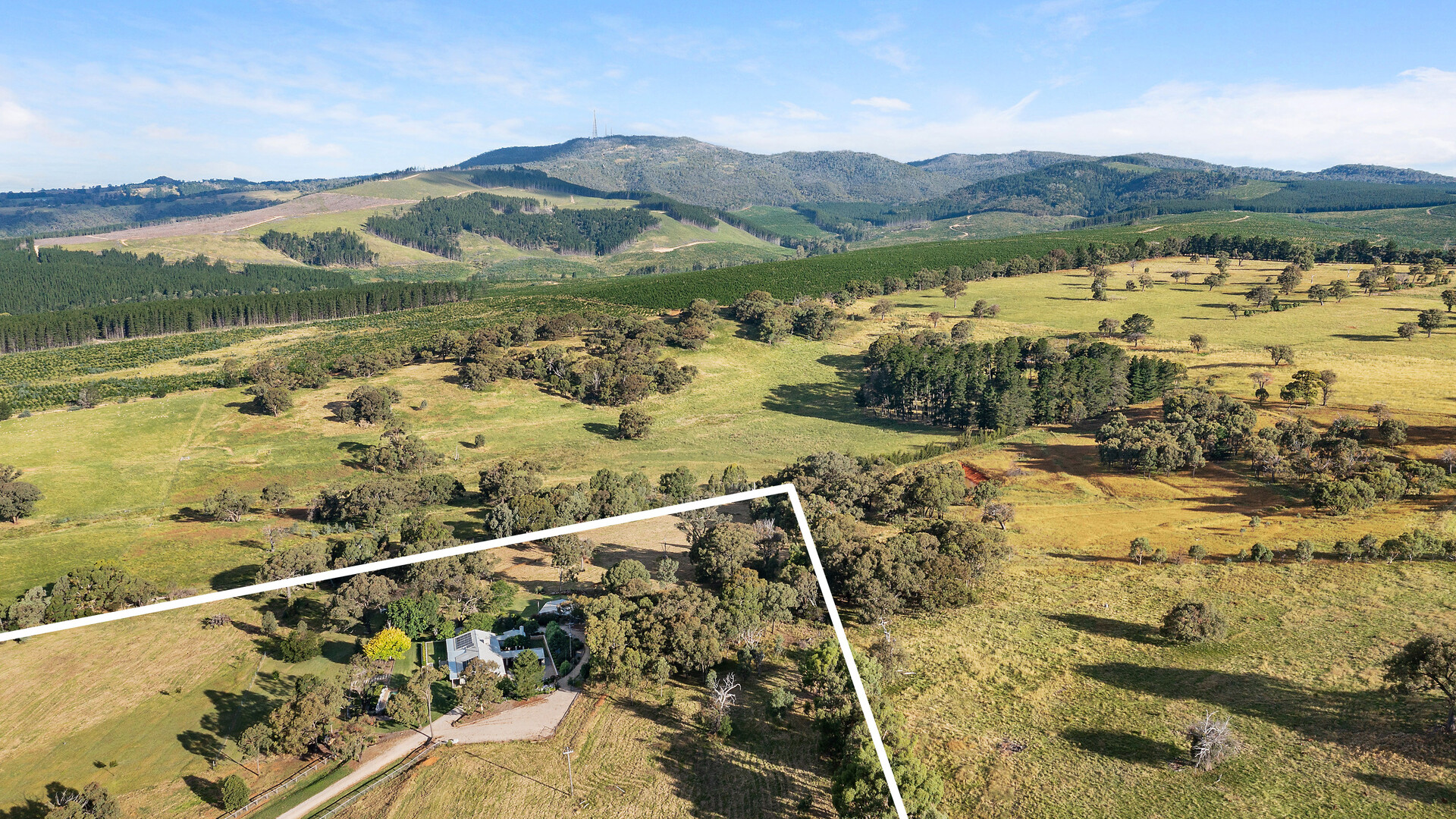 1591 Cargo Road, Orange NSW 2800 - photo 28