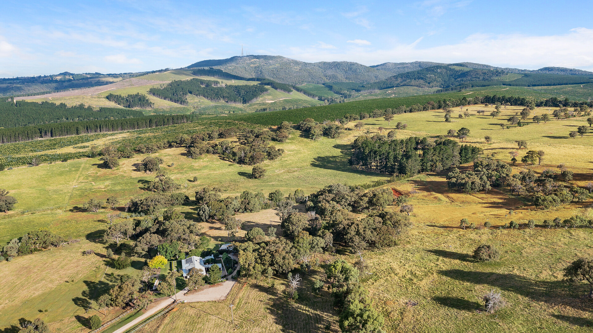 1591 Cargo Road, Orange NSW 2800 - photo 29