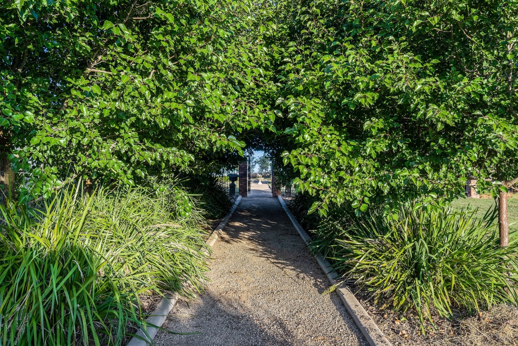 639 Tallwood Road, Forest Reefs NSW 2798 - photo 17