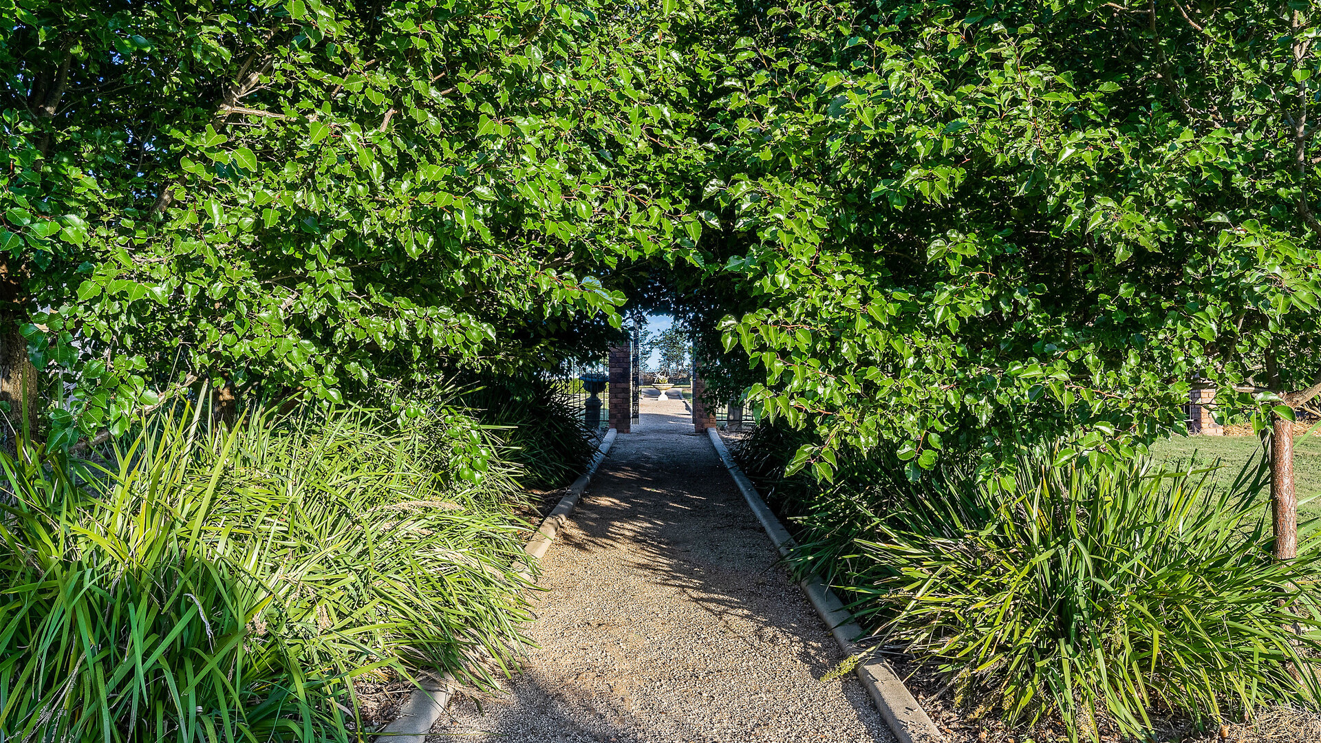 639 Tallwood Road, Forest Reefs NSW 2798 - photo 17