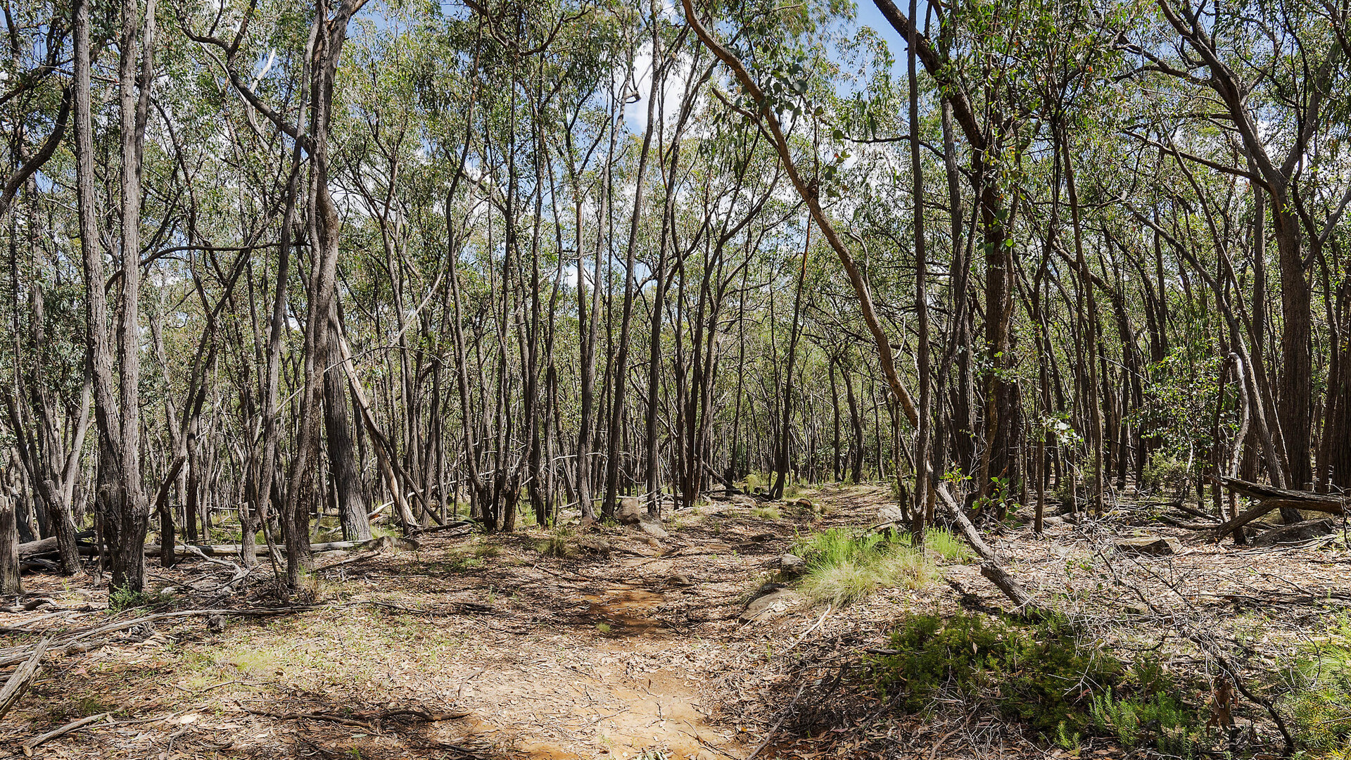 2174 Cargo Road, Orange NSW 2800 - photo 11