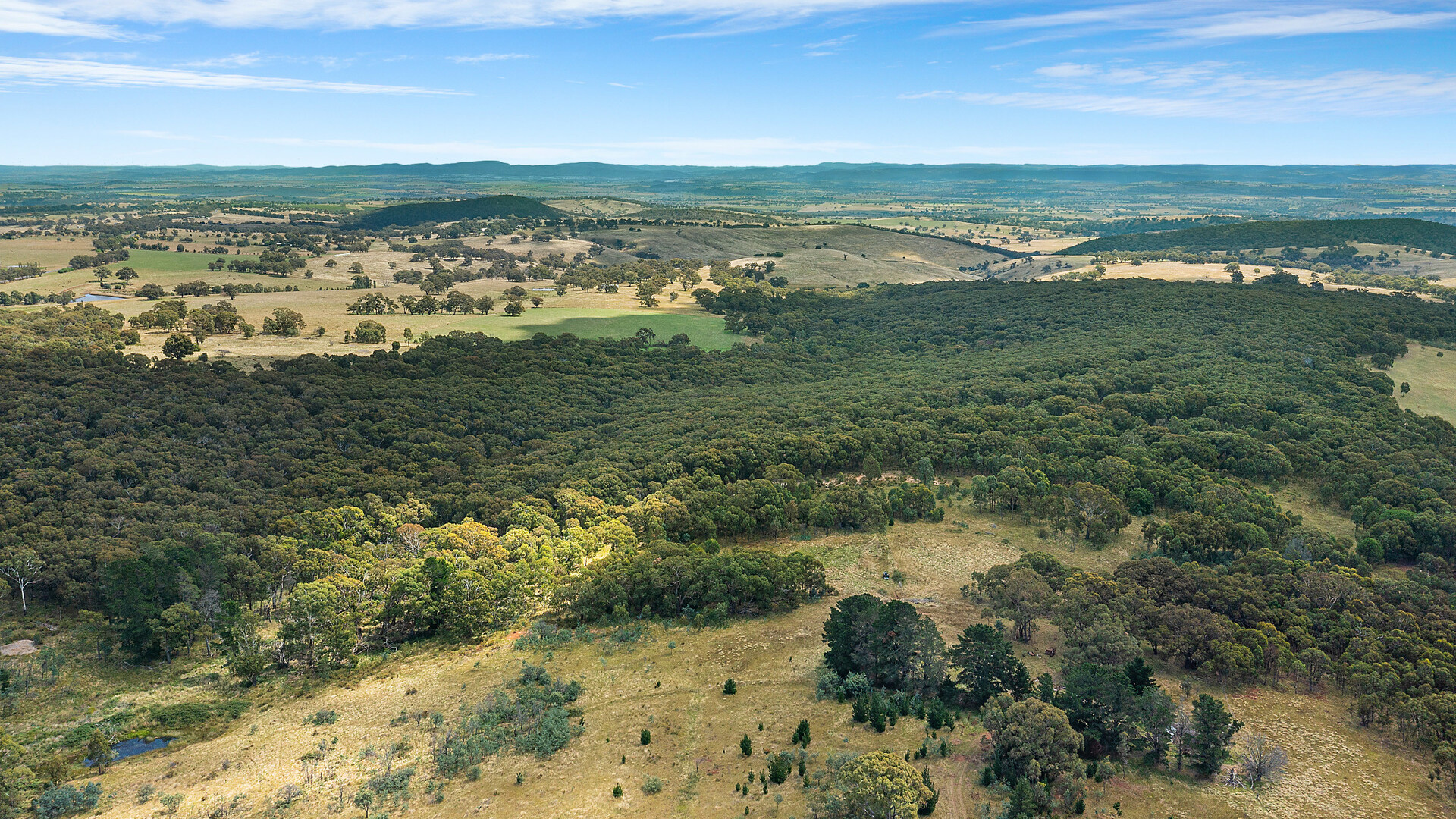 2174 Cargo Road, Orange NSW 2800 - photo 13