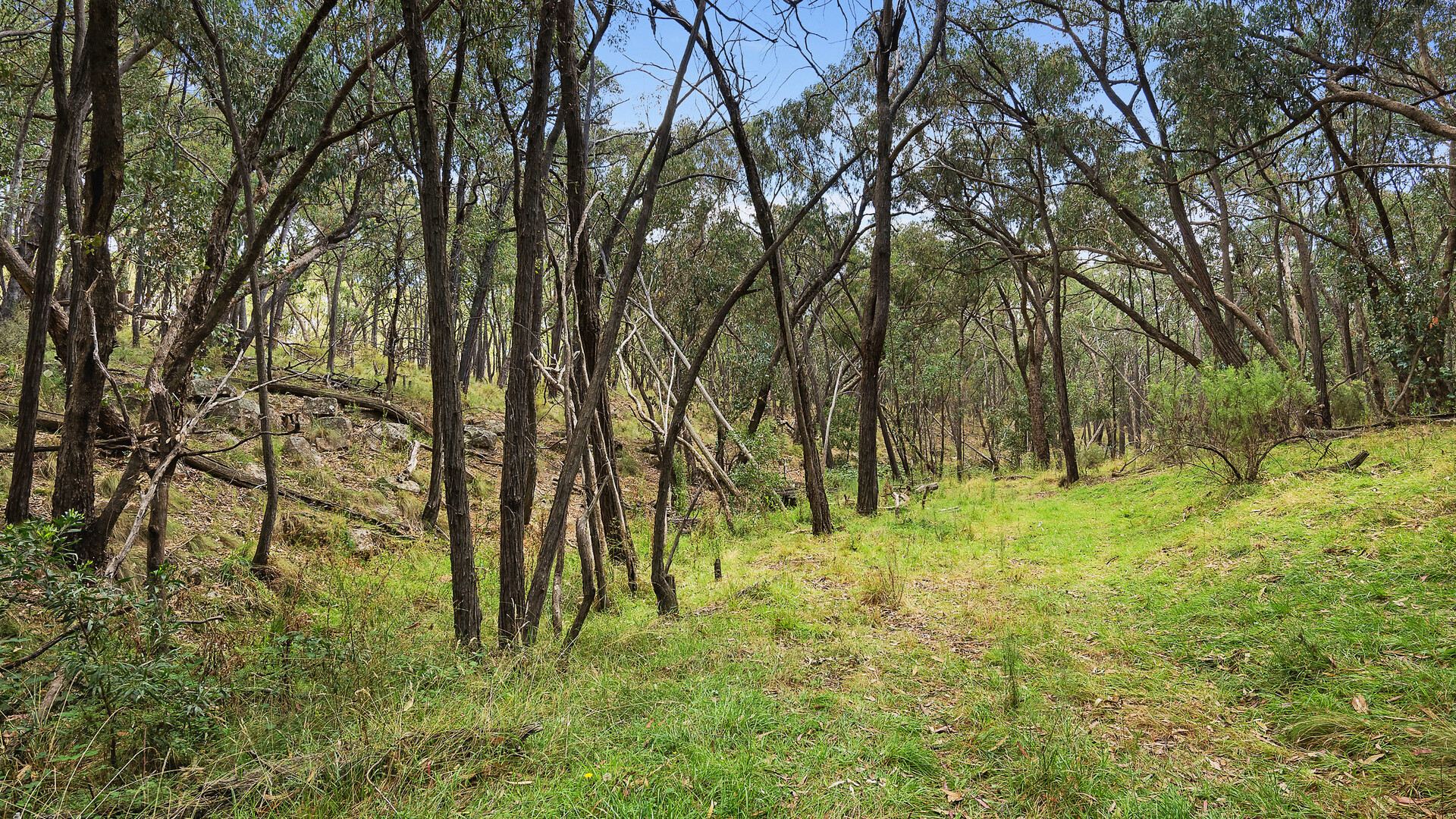 2174 Cargo Road, Orange NSW 2800 - photo 15