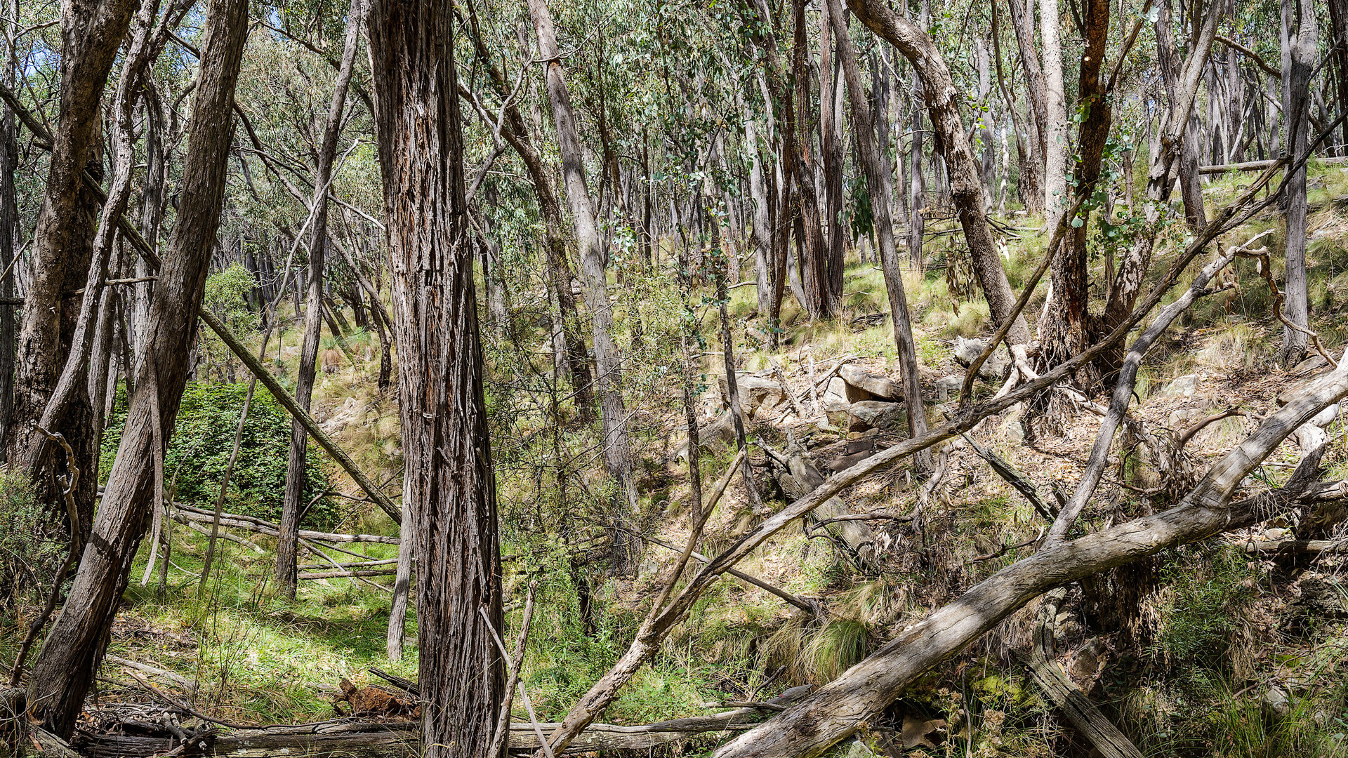 2174 Cargo Road, Orange NSW 2800 - photo 18