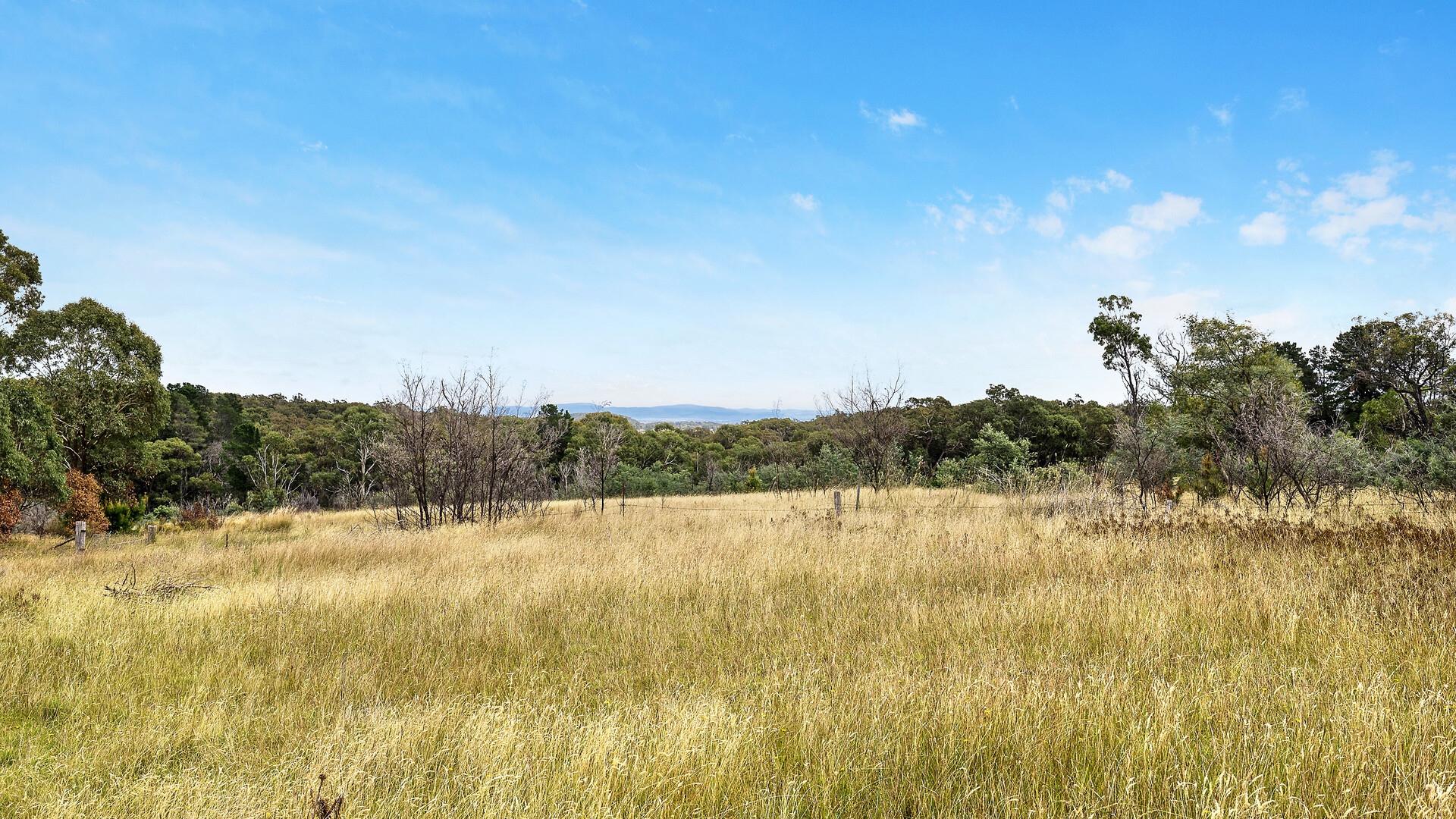 2174 Cargo Road, Orange NSW 2800 - photo 19