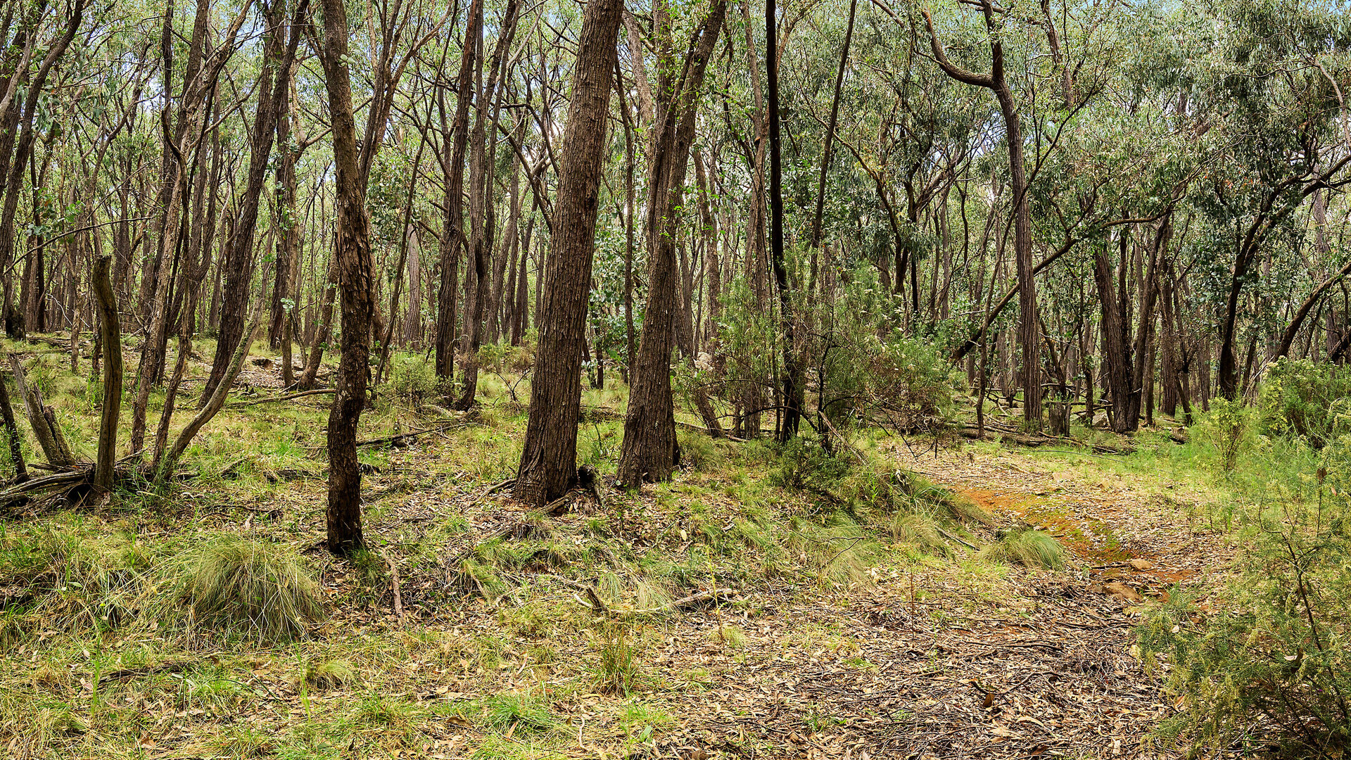 2174 Cargo Road, Orange NSW 2800 - photo 20