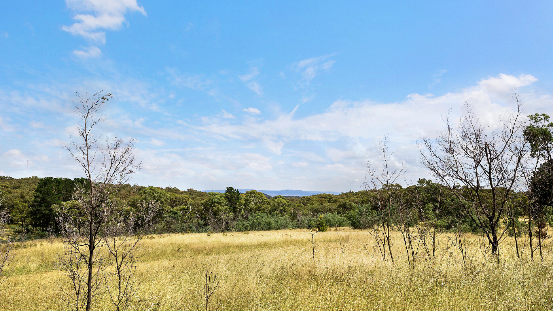 2174 Cargo Road, Orange NSW 2800 - photo 21