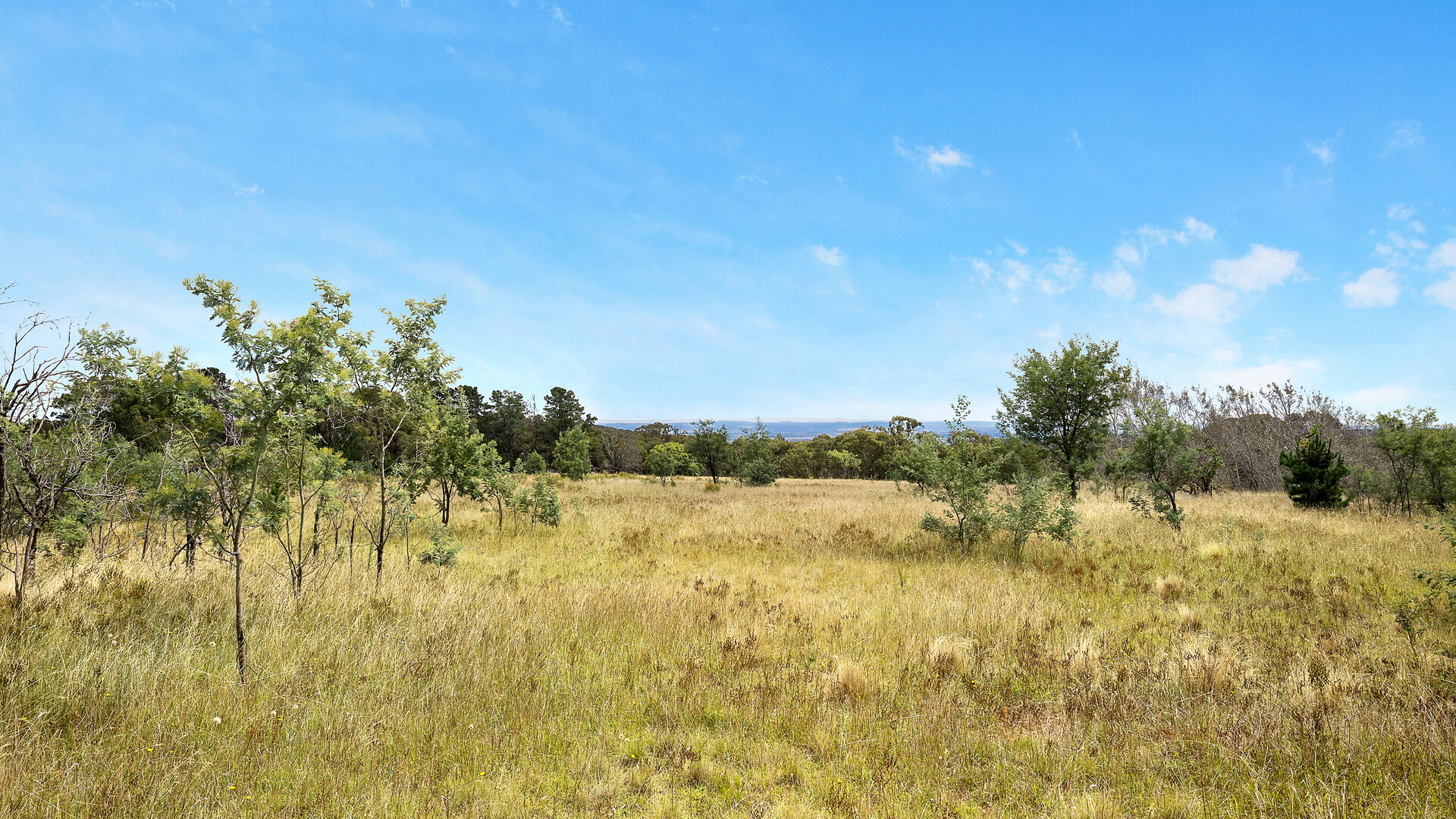 2174 Cargo Road, Orange NSW 2800 - photo 23
