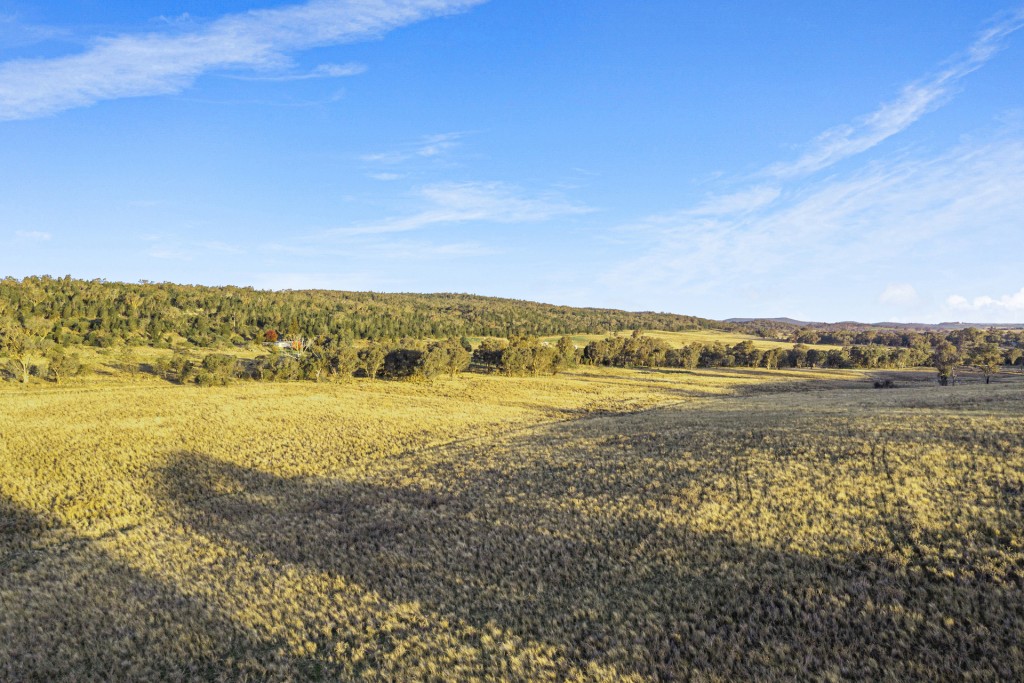 283 Garra Road, Molong NSW 2866 - photo 11