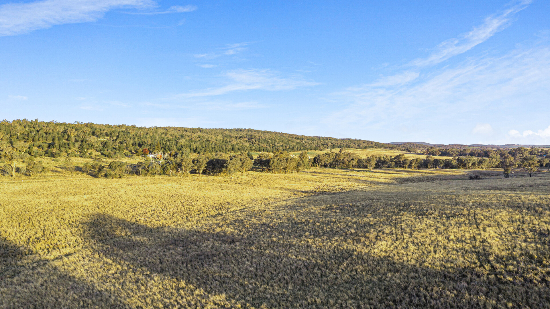 283 Garra Road, Molong NSW 2866 - photo 11