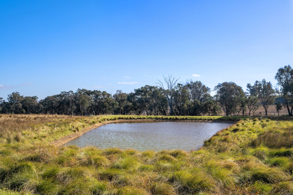 283 Garra Road, Molong NSW 2866 - photo 19