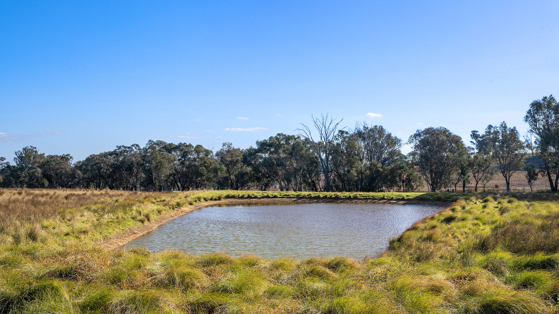 283 Garra Road, Molong NSW 2866 - photo 19