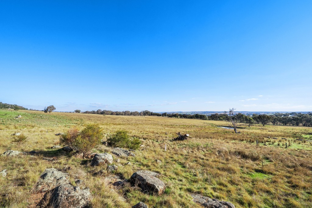 283 Garra Road, Molong NSW 2866 - photo 21