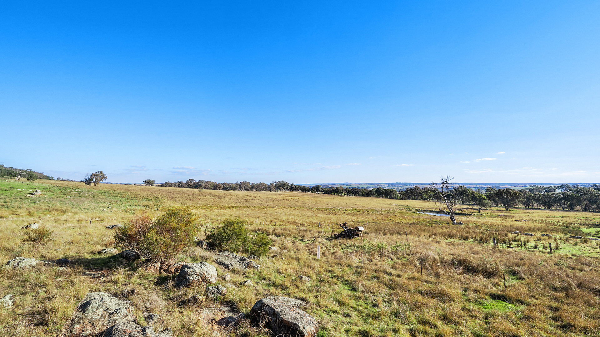 283 Garra Road, Molong NSW 2866 - photo 21