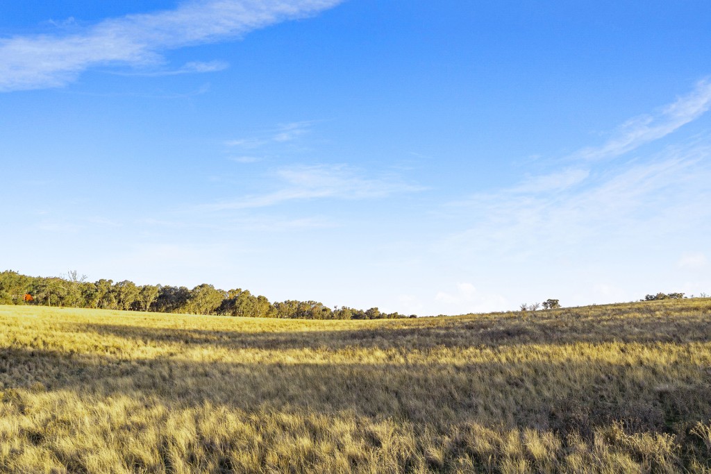 283 Garra Road, Molong NSW 2866 - photo 24
