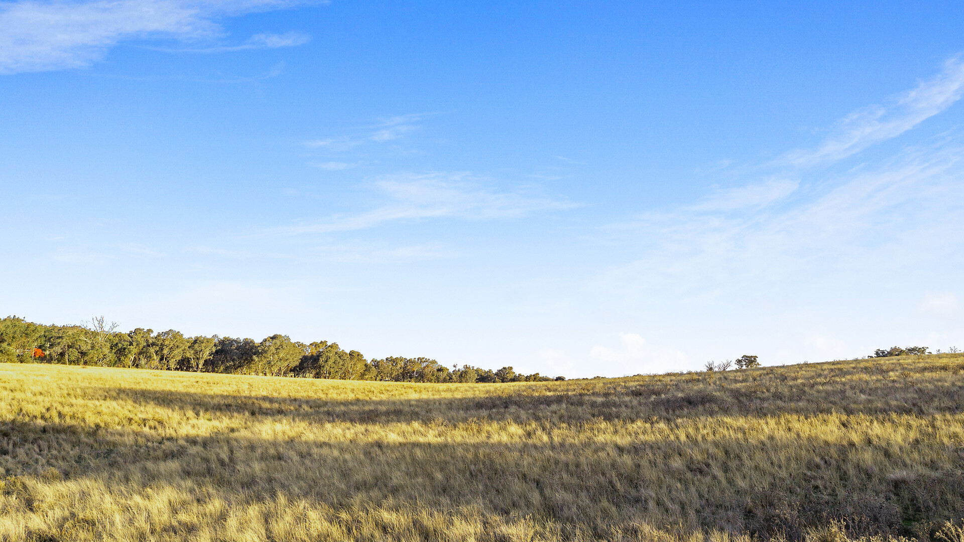 283 Garra Road, Molong NSW 2866 - photo 24