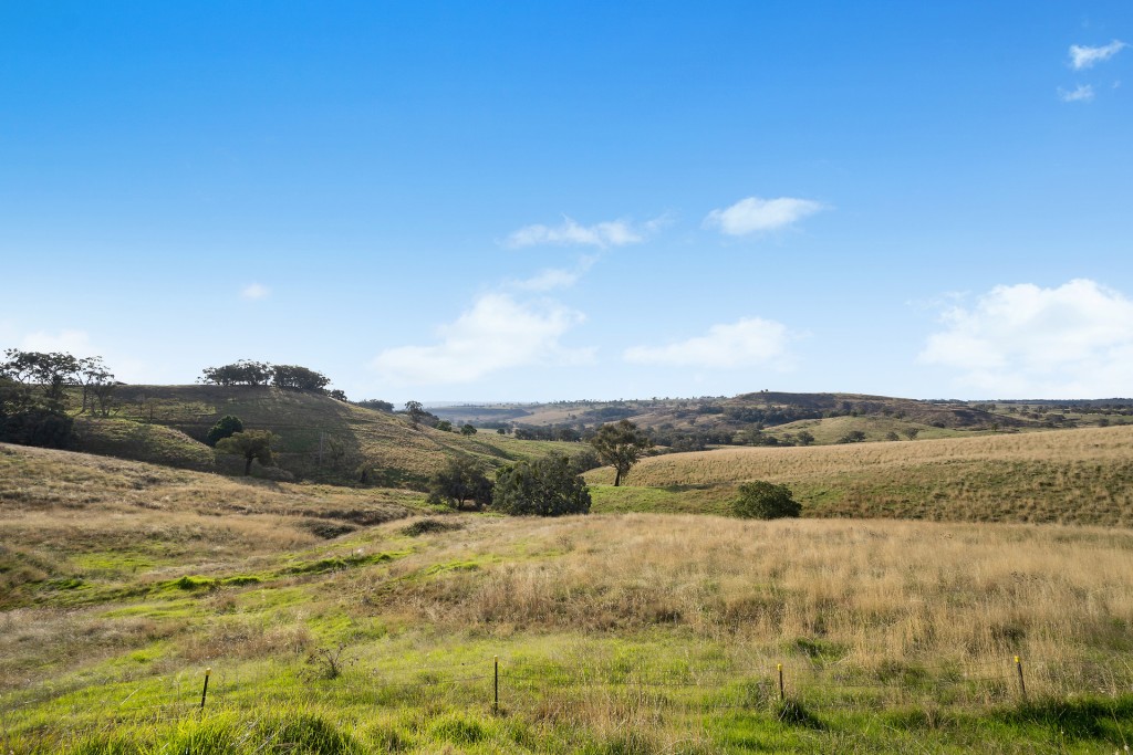 332 Bowan Park Road, Orange NSW 2800 - photo 17