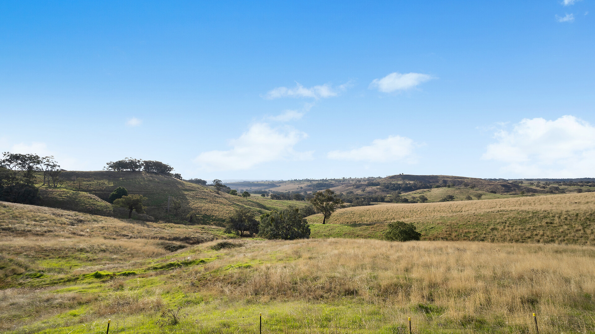 332 Bowan Park Road, Orange NSW 2800 - photo 17