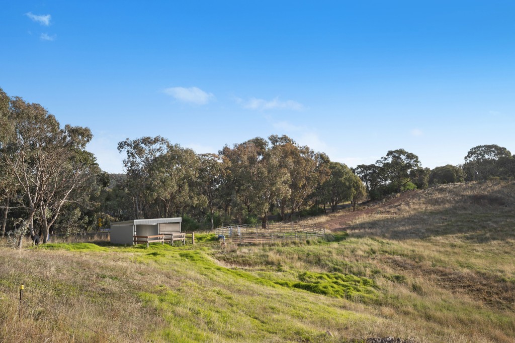 332 Bowan Park Road, Orange NSW 2800 - photo 19