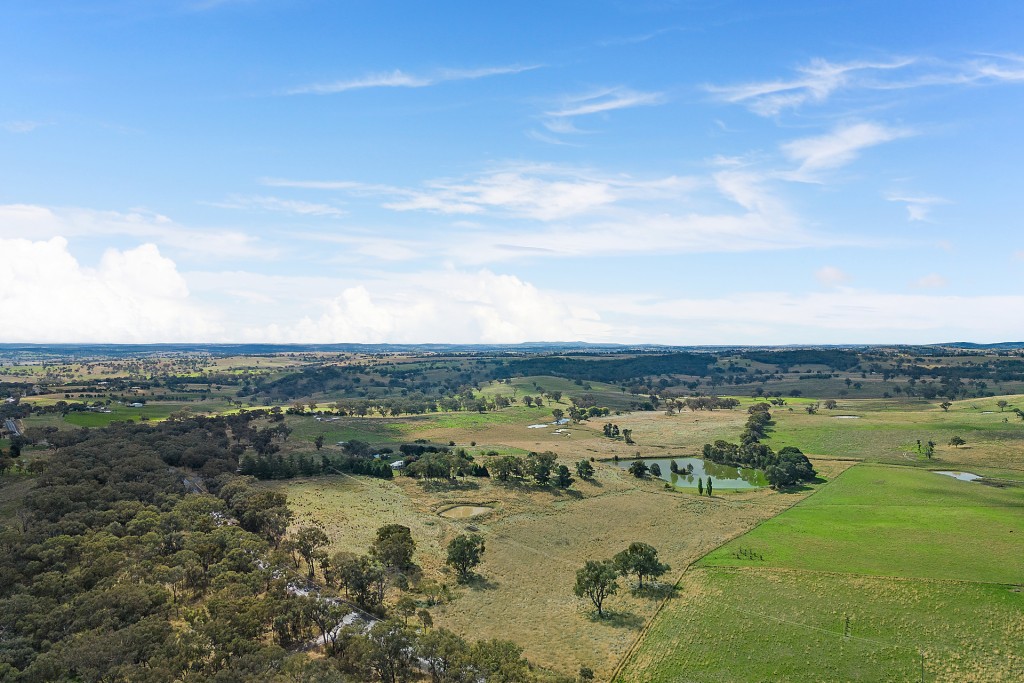 1750 The Escort Way, Borenore NSW 2800 - photo 19
