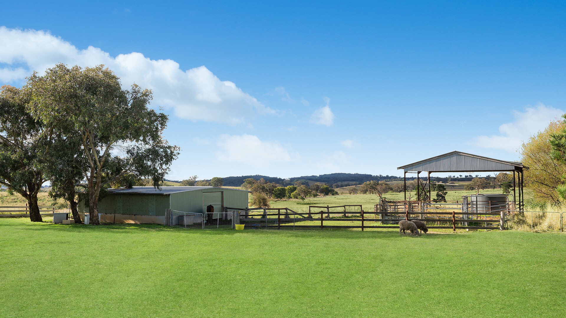 1750 The Escort Way, Borenore NSW 2800 - photo 20
