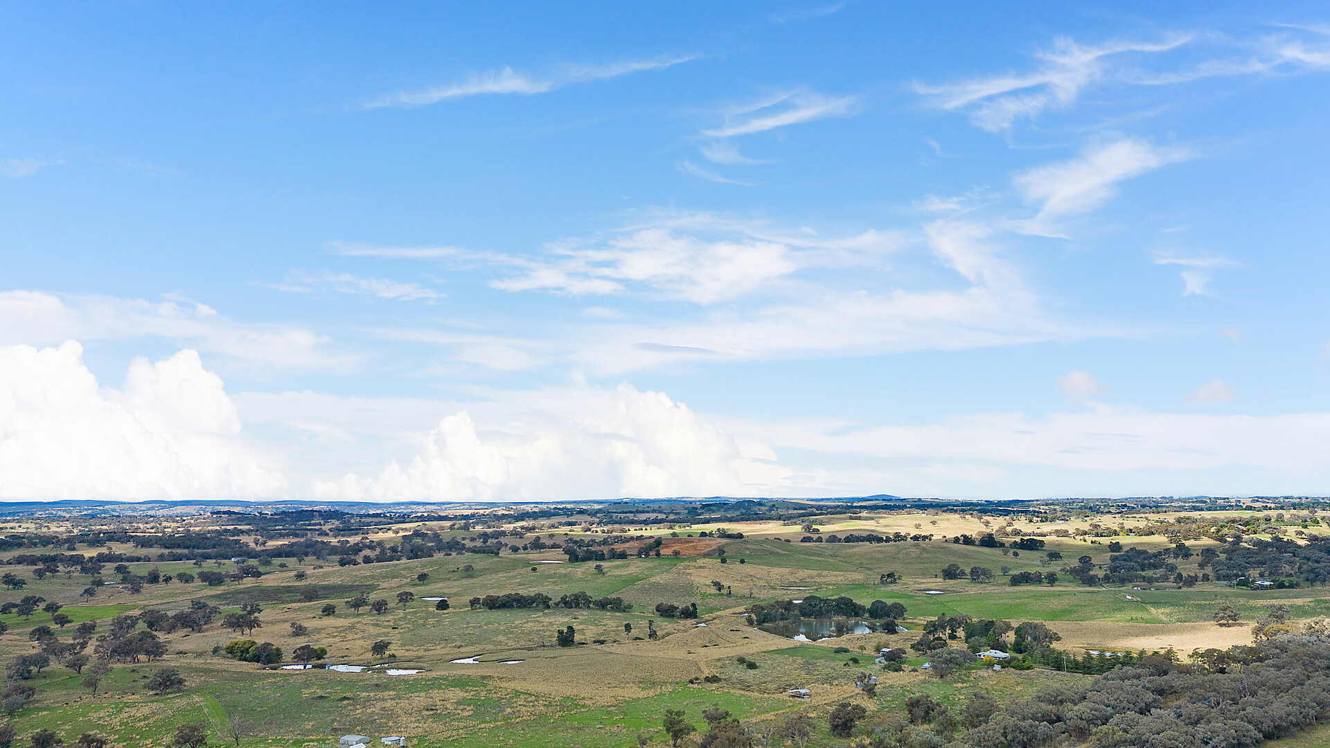 1750 The Escort Way, Borenore NSW 2800 - photo 21
