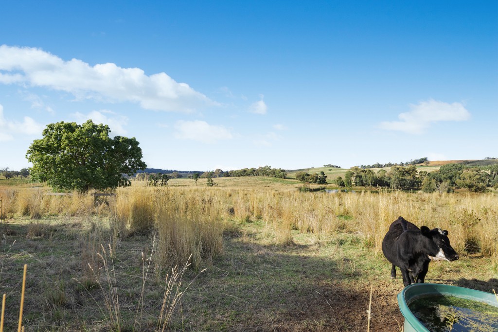 1750 The Escort Way, Borenore NSW 2800 - photo 25