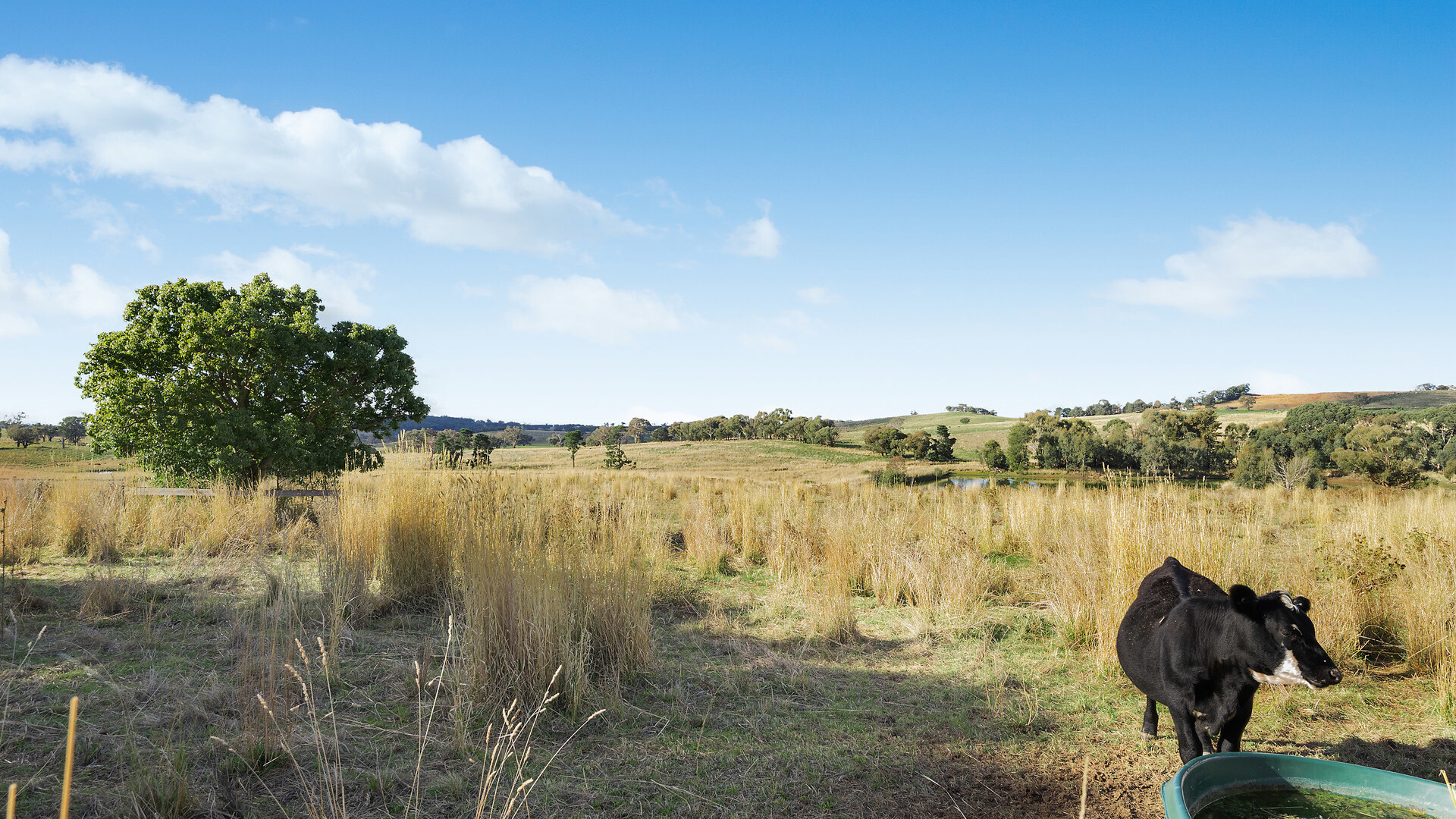 1750 The Escort Way, Borenore NSW 2800 - photo 25