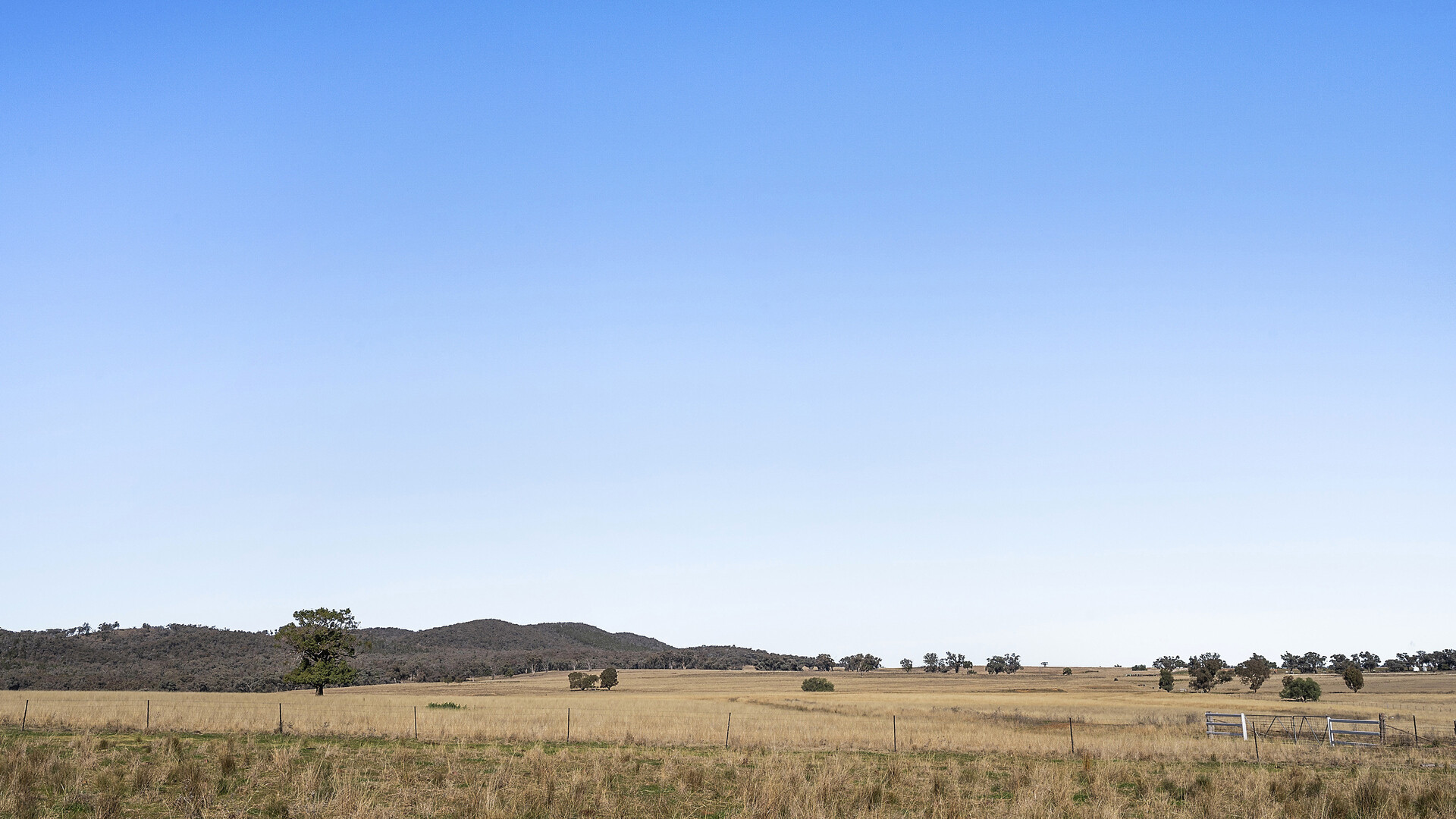 138 Hamalet Road, Bournewood NSW 2868 - photo 14