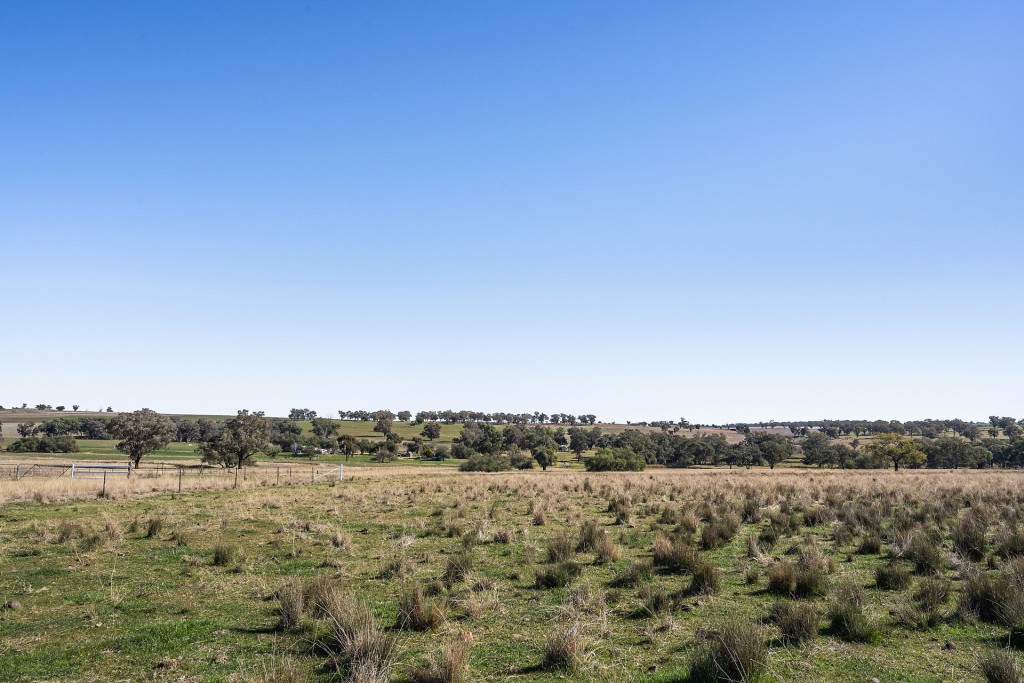138 Hamalet Road, Bournewood NSW 2868 - photo 16