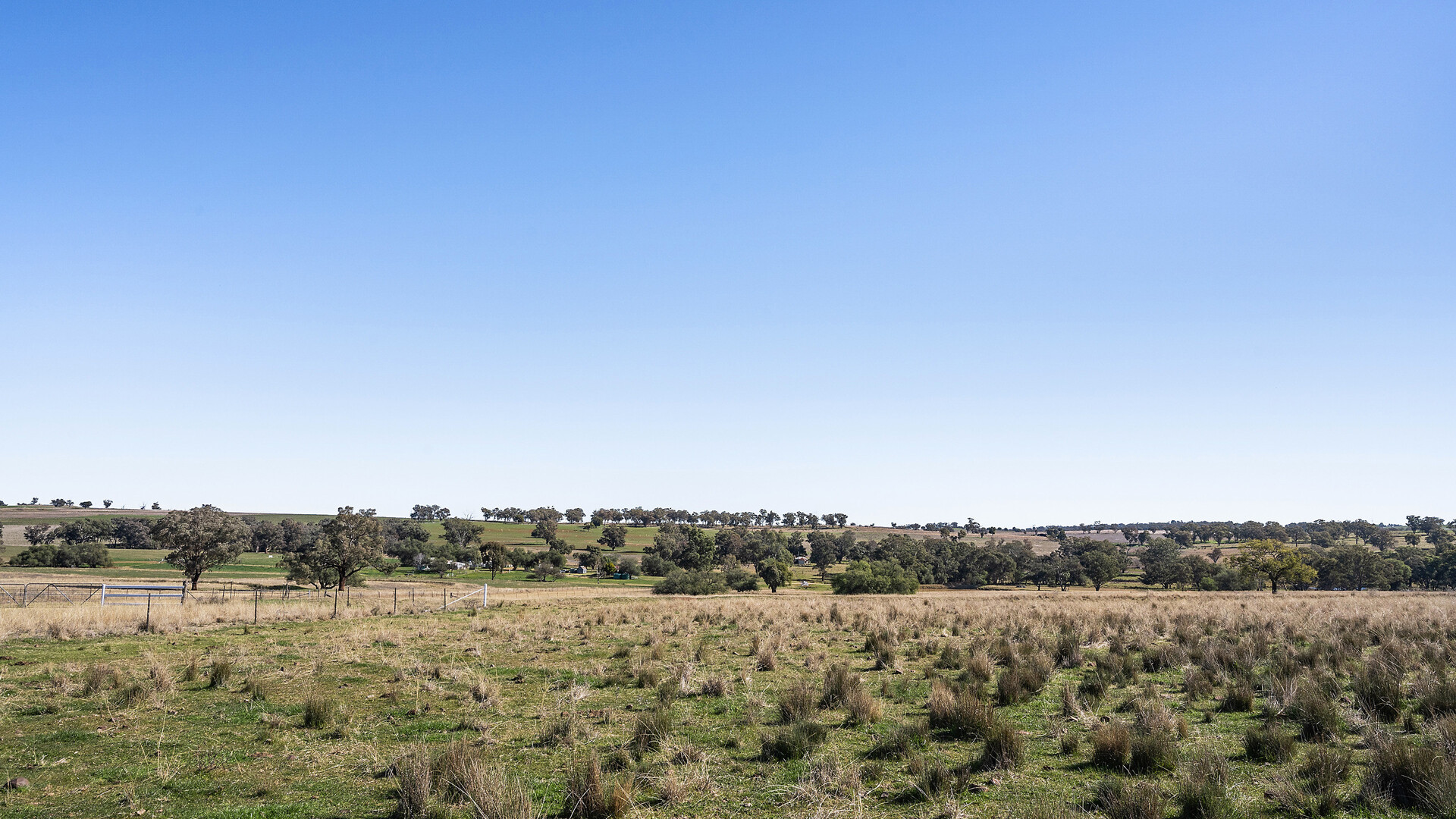 138 Hamalet Road, Bournewood NSW 2868 - photo 16