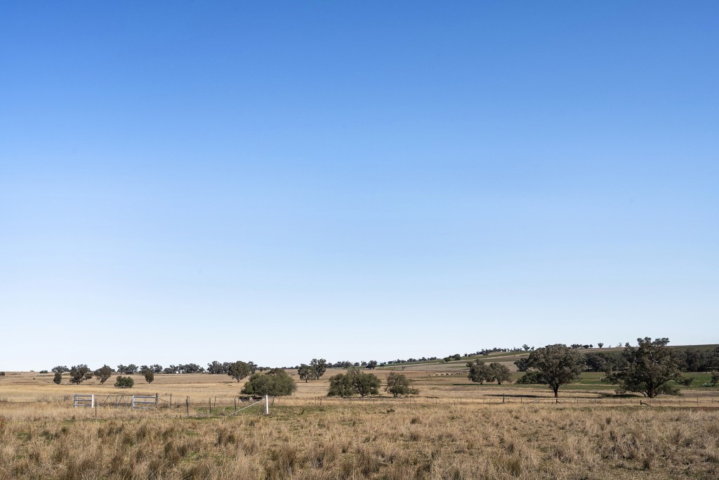 138 Hamalet Road, Bournewood NSW 2868 - photo 19
