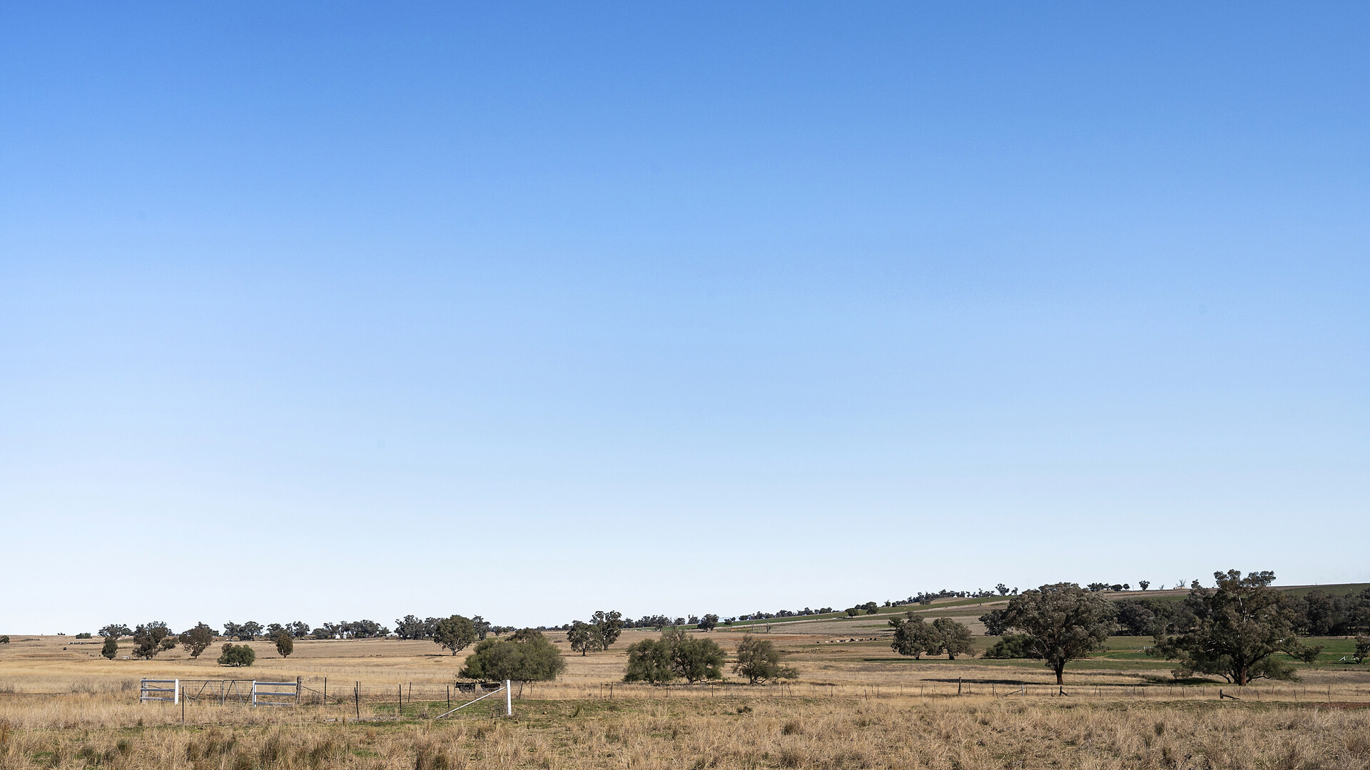 138 Hamalet Road, Bournewood NSW 2868 - photo 19