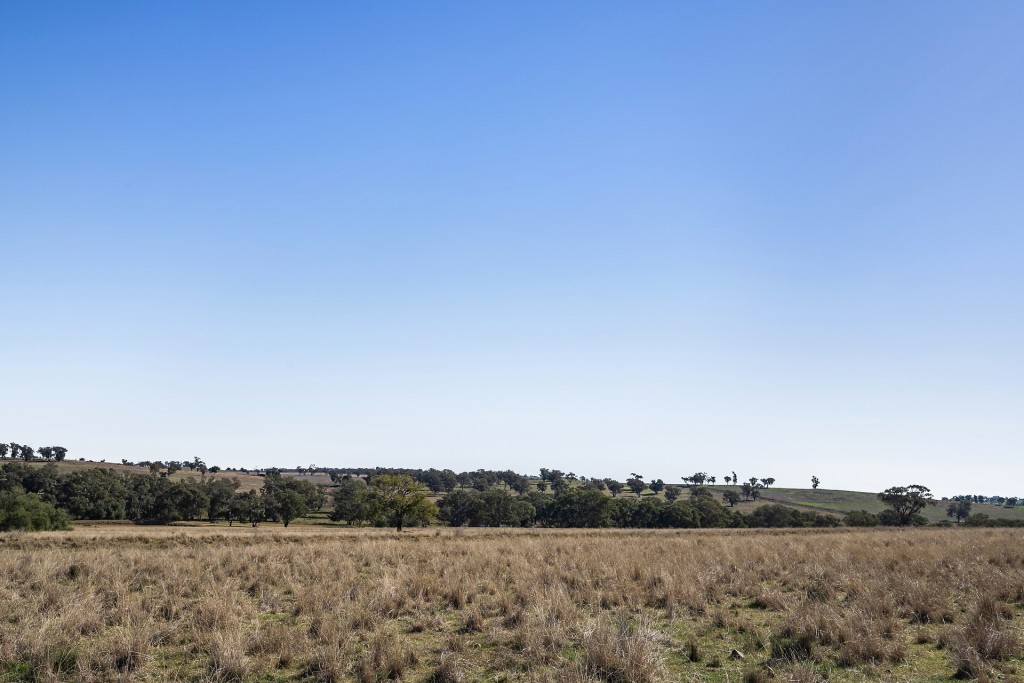 138 Hamalet Road, Bournewood NSW 2868 - photo 20