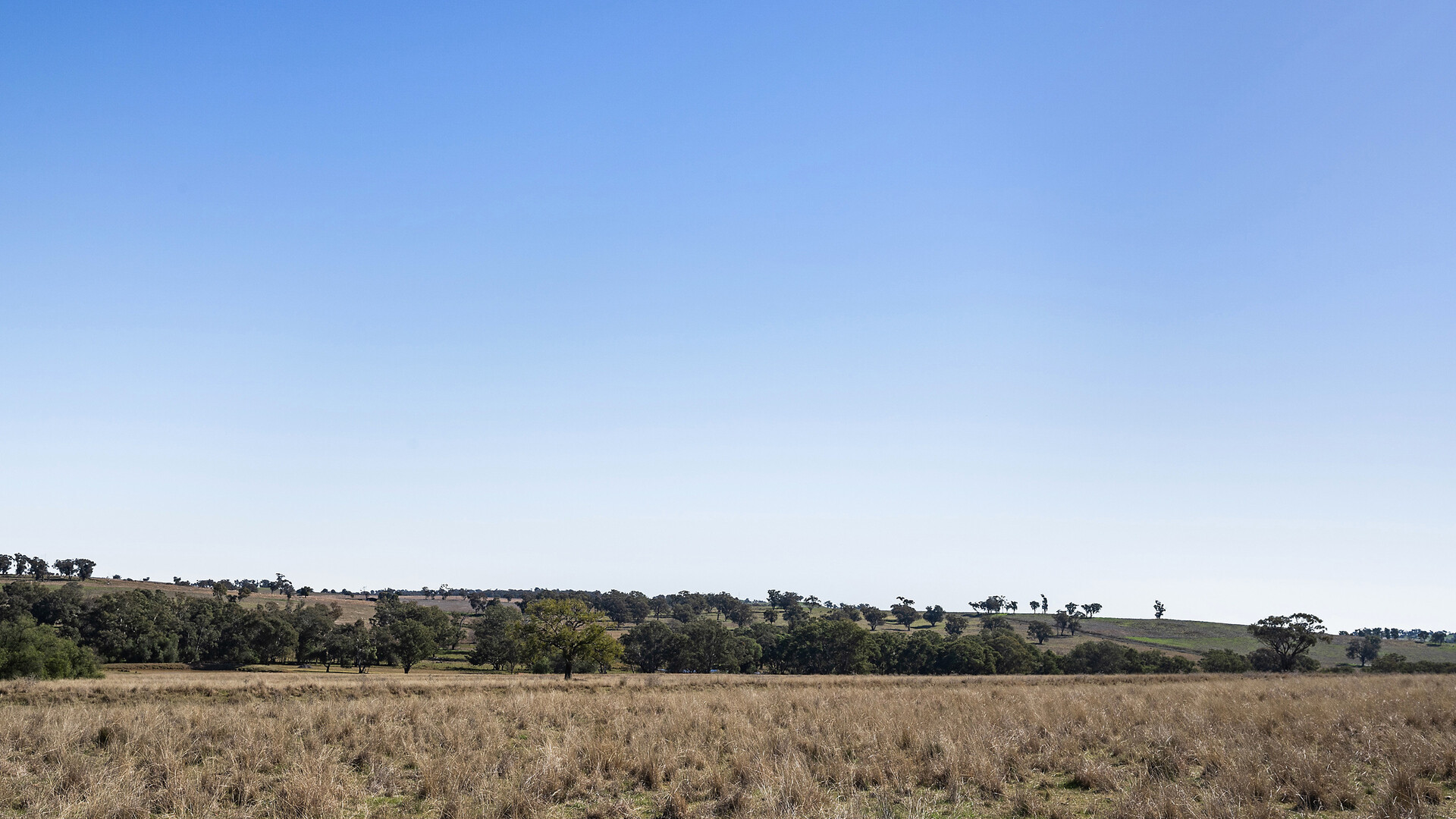 138 Hamalet Road, Bournewood NSW 2868 - photo 20