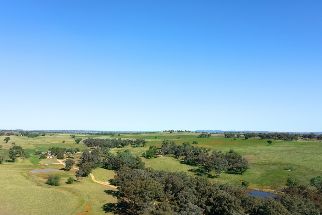 138 Hamalet Road, Bournewood NSW 2868 - photo 22