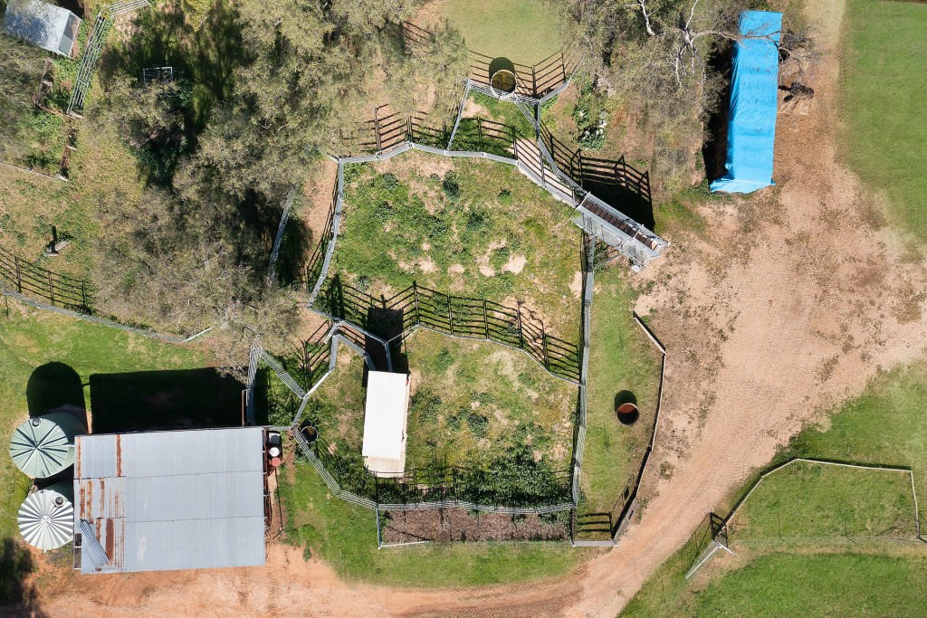 138 Hamalet Road, Bournewood NSW 2868 - photo 24
