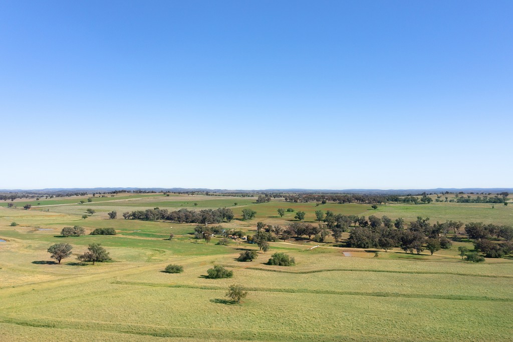 138 Hamalet Road, Bournewood NSW 2868 - photo 26