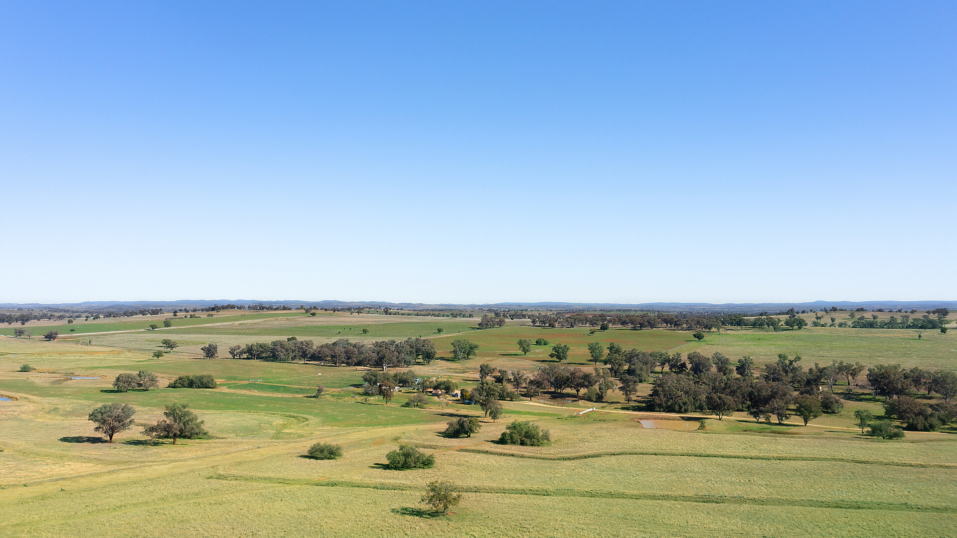 138 Hamalet Road, Bournewood NSW 2868 - photo 26