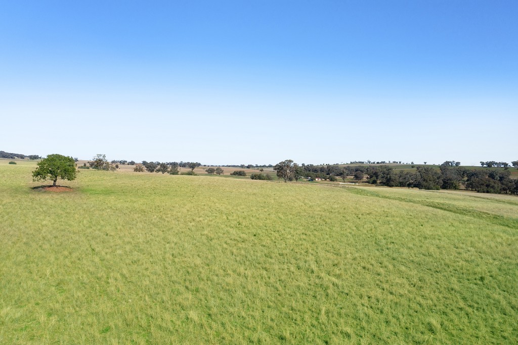 138 Hamalet Road, Bournewood NSW 2868 - photo 8