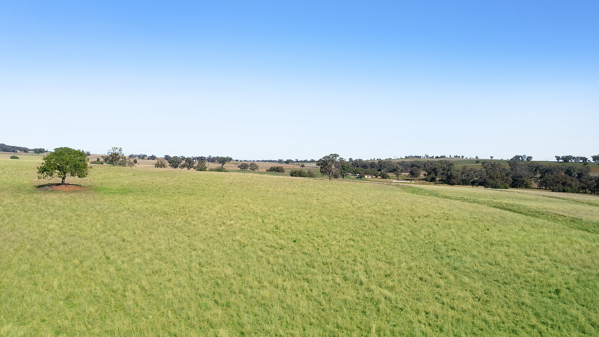 138 Hamalet Road, Bournewood NSW 2868 - photo 8