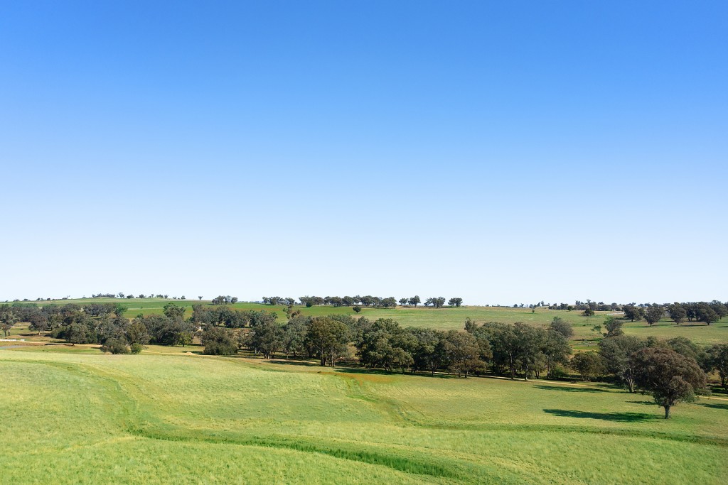 138 Hamalet Road, Bournewood NSW 2868 - photo 9