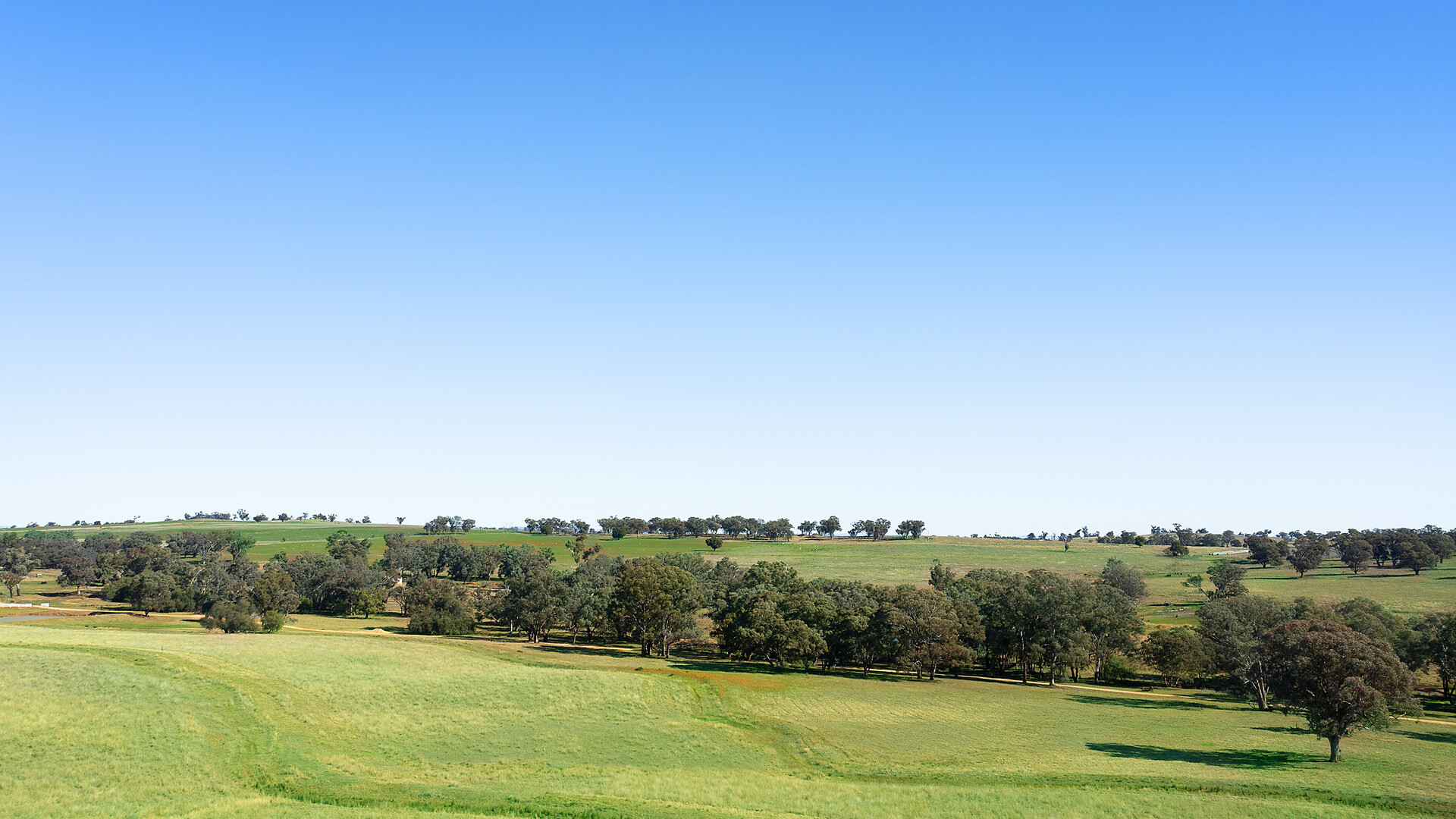 138 Hamalet Road, Bournewood NSW 2868 - photo 9
